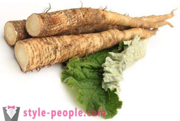 Burdock Root: medicinal properties. Burdock root hair. A decoction of burdock root hair