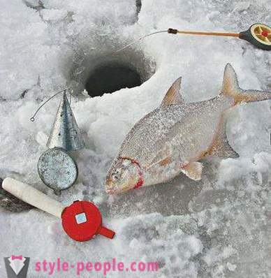 Bream fishing in winter: the ins and outs for novice fishermen