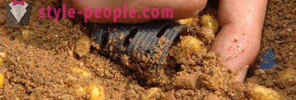 The best bait for roach. How to make a bait for roach with your hands?