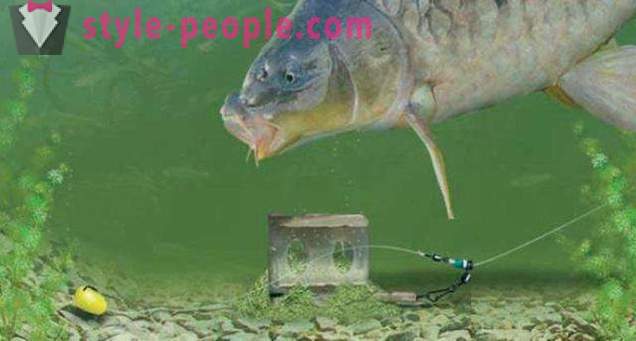 Feeder accessories, photo. Fishing at the feeder