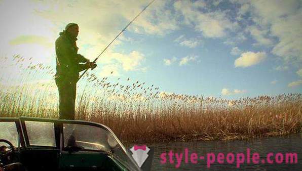 How to catch carp: recommendations fishermen