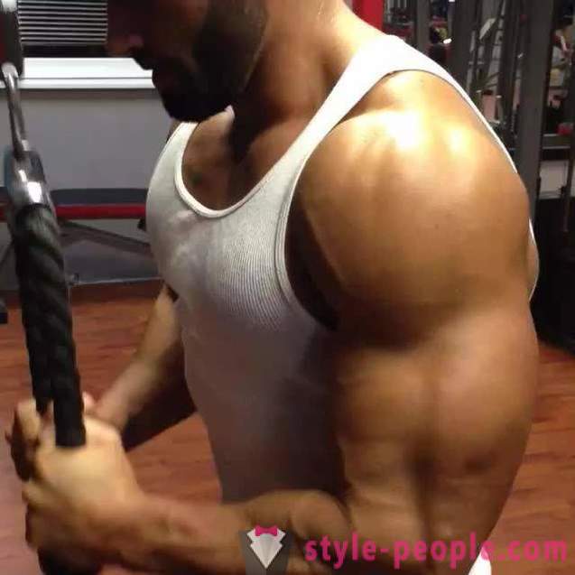 How to build your triceps? Triceps exercises