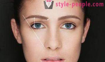 Perfect eyebrows. The ideal shape of eyebrows: how to make