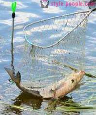 How to catch carp on feeder and spinning donk