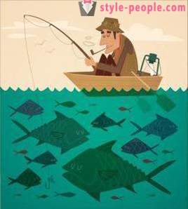 How to catch carp bait? Tricks of big carp
