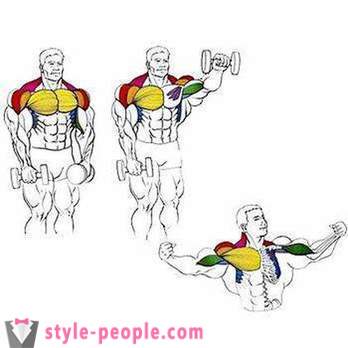 How to build chest muscles dumbbells: exercises and tips