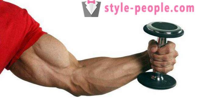 How to build the biceps at home? How to build the biceps without dumbbells - exercises