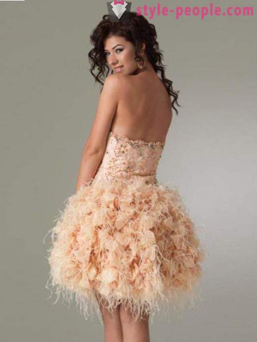 Short dress with a fluffy skirt for young fashionistas