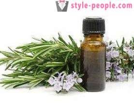 Rosemary oil: recipes for hair recovery