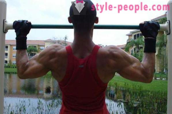 How to build your back muscles? several exercises