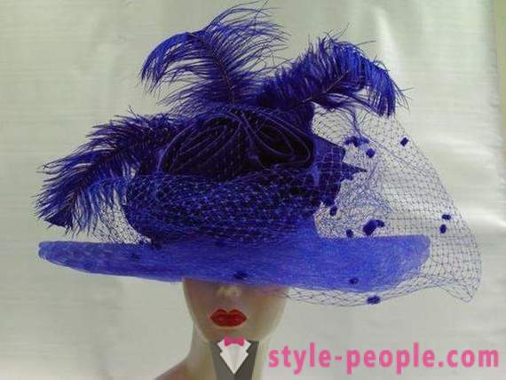 Hat with a veil. With their hands, you can create an elegant and noble image